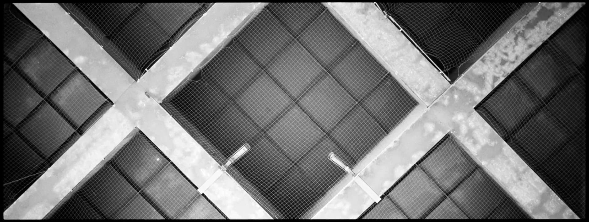 Berlinlines – Skater im Stadtbild, Hasselblad XPan auf Kodak Tri-X 400 von Carsten Beier