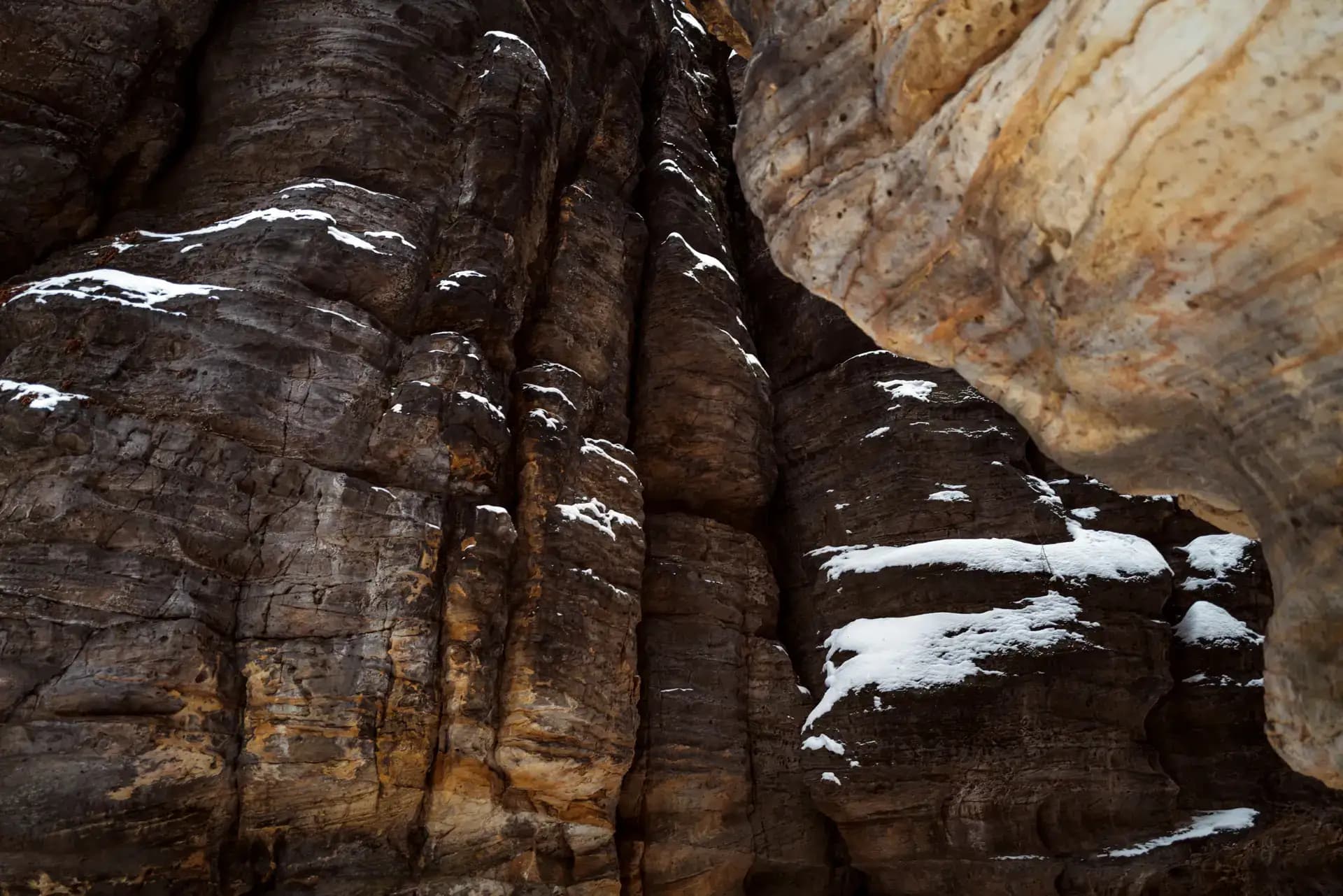 ON Running Cloudultra Detailaufnahme auf Naturboden Sächsische Schweiz, Fotograf Carsten Beier